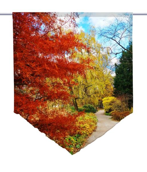 Herbstfarbenerlebnis Scheibenhänger Gardine